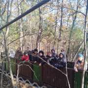 Ученики 6 классов МЛШ побывали на экскурсии в национальном парке &laquo;Земля леопарда&raquo; и узнали, какие животные обитают в заповеднике 