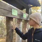Ученики 6 классов МЛШ побывали на экскурсии в национальном парке &laquo;Земля леопарда&raquo; и узнали, какие животные обитают в заповеднике 