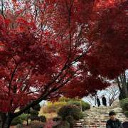 Ученица 10б класса МЛШ Мила Люлина стала единственной учащейся школы из Приморья, кто успешно прошел тестирование и отправился на языковую стажировку в Республику Корея