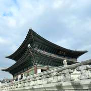 Ученица 10б класса МЛШ Мила Люлина стала единственной учащейся школы из Приморья, кто успешно прошел тестирование и отправился на языковую стажировку в Республику Корея