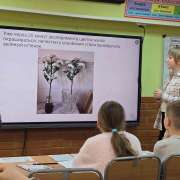 Конференция &laquo;Хочу все знать!&raquo; в МЛШ: ученики четвертых классов защитили исследовательские проекты