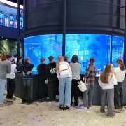 Ученики МЛШ продолжают знакомиться с экспозициями Национального центра &laquo;Россия&raquo; во Владивостоке