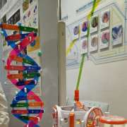 Ученики начальных классов МЛШ заняли три призовых места на региональном этапе Всероссийского конкурса исследовательских работ &laquo;Я &ndash; Исследователь!&raquo;